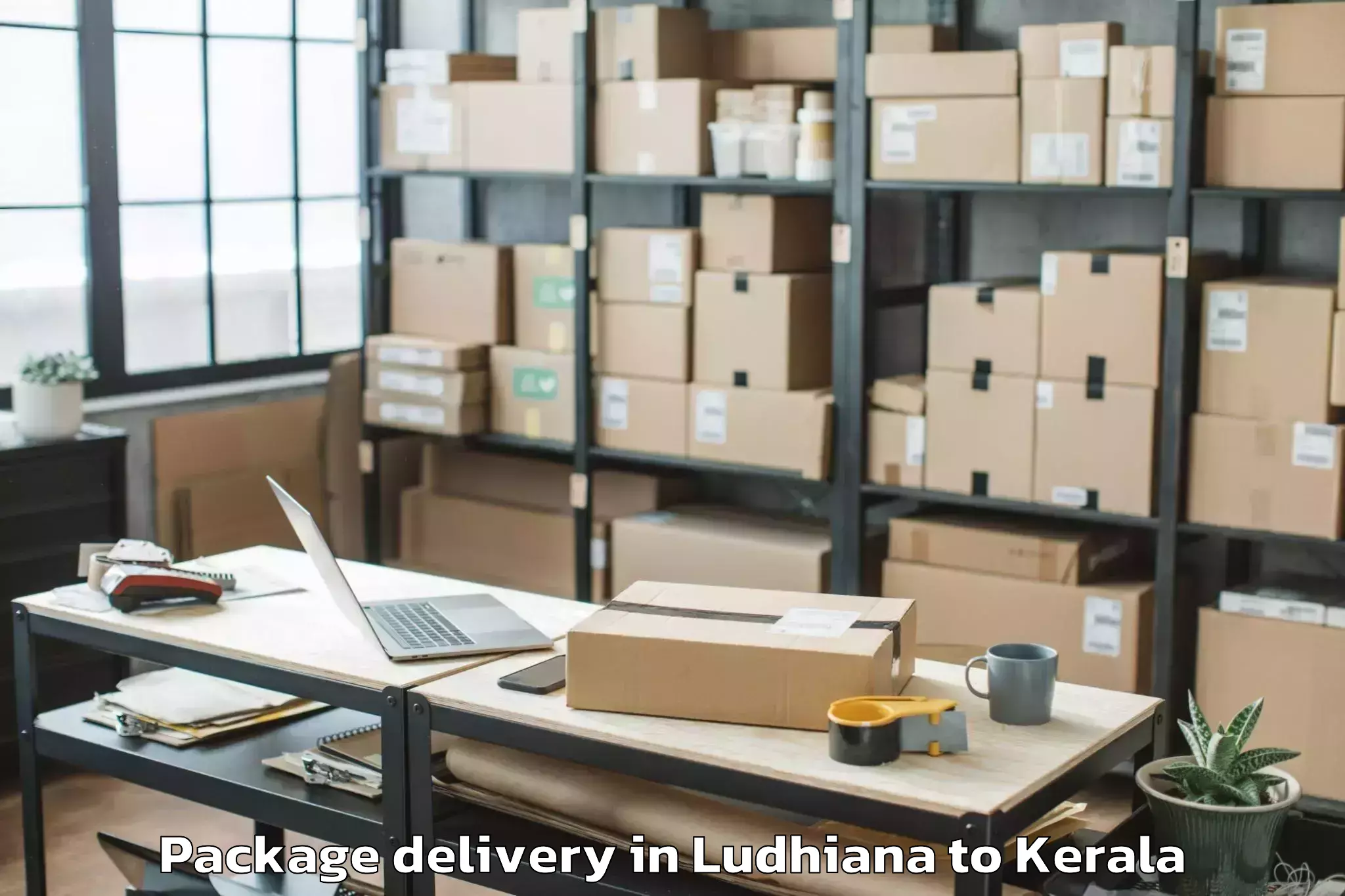 Reliable Ludhiana to Thenhipalam Package Delivery